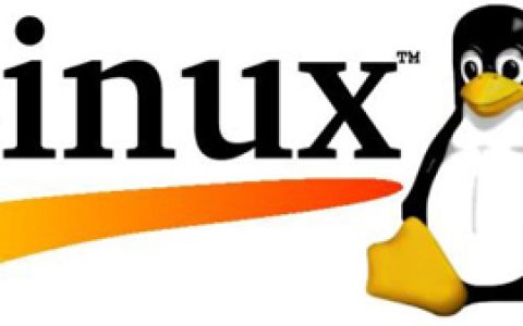 Linux下rootkit后门检测工具chkrootkit安装使用教程