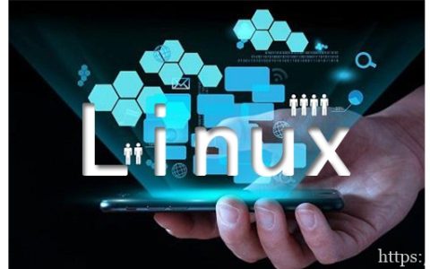 Linux cut命令的使用方法教程分享